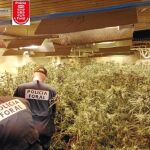 La banda china ganaba 1,2 millones de euros al mes con la marihuana, pero su principal negocio era la explotación sexual de mujeres, los Mossos liberaron a 22