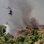 Frente común para «reforzar y proteger» Doñana