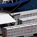Los empresarios alertan de las consecuencias que puede tener para la Región la tensión política que se vive en Cataluña de cara a las elecciones autonómicas del 21 de diciembre