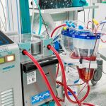 Se crea un flujo con ECMO por el que sale sangre y entra oxigenada, así los órganos se conservan en buenas condiciones