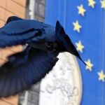 La perpetuación de la crisis europea