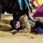 Imagen de la cogida de esta tarde en Valladolid / Foto: EFE