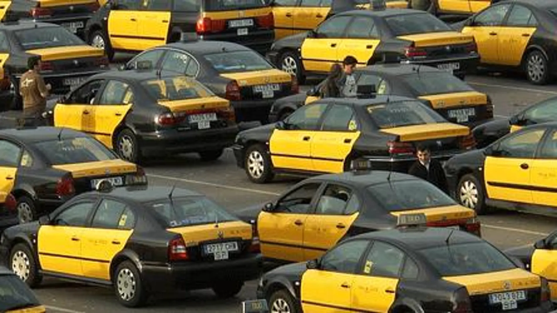 Imagen de un grupo de taxis de Barcelona