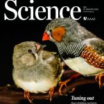 Portada de la revista Science, con adulto y juvenil de diamante cebra