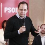 El secretario de Organización del PSOE, César Luena