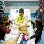Adrián, uno de los pequeños ingresados, en compañía de Zenit, que aprovecha cualquier oportunidad para sacarles una sonrisa / Foto: Gonzalo Pérez