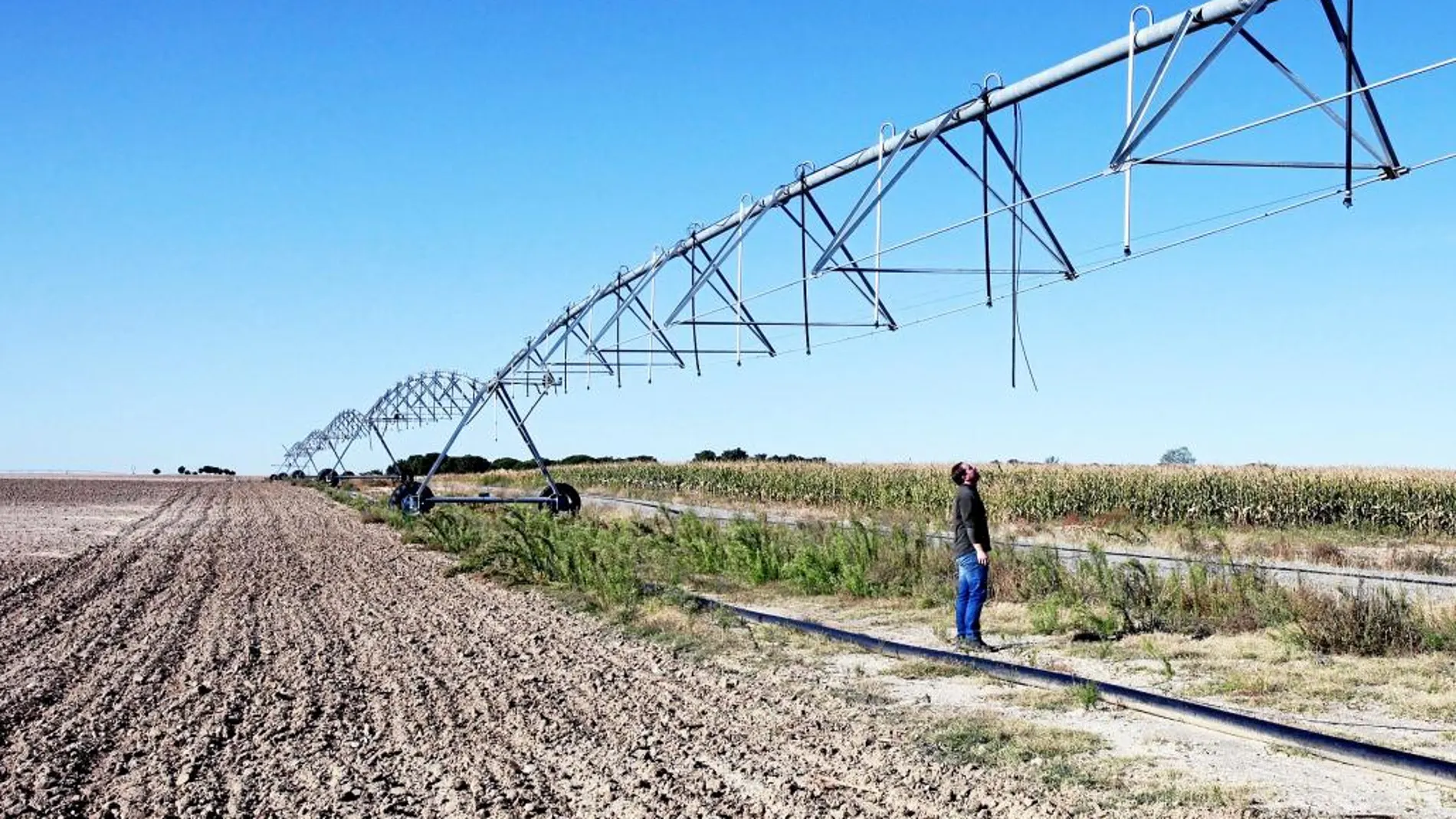 Se busca modernizar los regadíos de toda Castilla y León