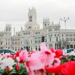 El palacio de Cibeles, sede de la Alcaldía de Madrid