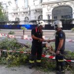 Cae una rama de un árbol sobre la terraza de un bar en C/Juan Bravo.