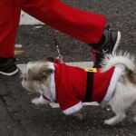 Entrenar al aire libre y pasear el perro a la vez es posible.