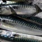 Los españoles no consumen el mínimo de pescado azul