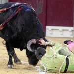 El diestro Javier Jiménez resultó cogido en el muslo derecho a la altura de la rodilla
