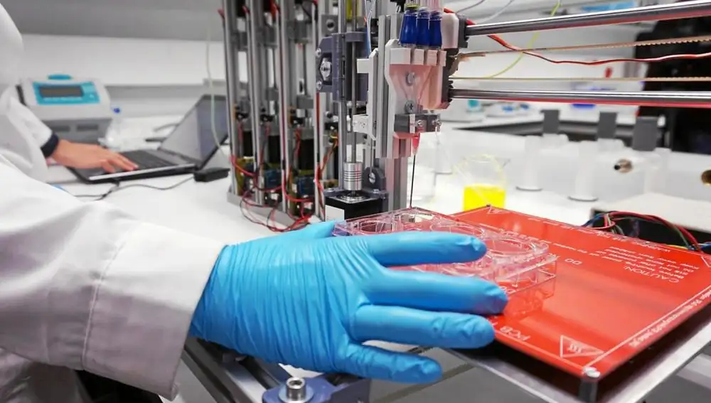 Un ordenador controla la deposición de las «biotintas», que se realiza de manera ordenada en una placa para producir la piel