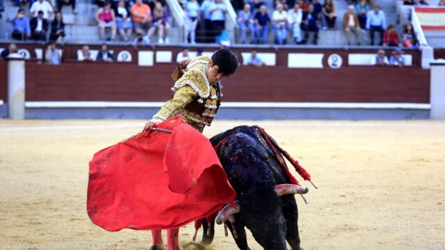 Mario Palacios durante la novillada en Las Ventas