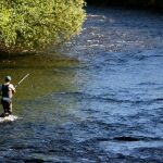 Un pescador se introduce cn su caña en las aguas del río Sil a su paso por la localidad leonesa de Ponferrada, en El Bierzo