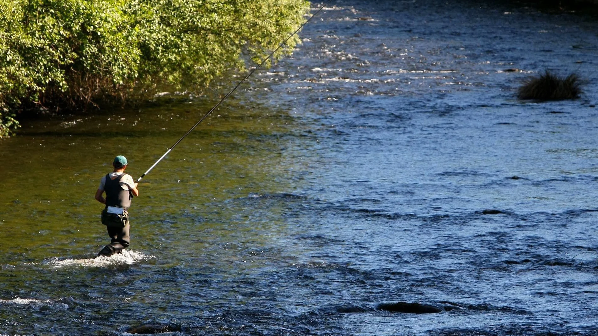Un pescador se introduce cn su caña en las aguas del río Sil a su paso por la localidad leonesa de Ponferrada, en El Bierzo