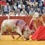 Román torea con la zurda al segundo novillo de Núñez del Cuvillo