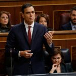 Pedro Sánchez, en el Congreso de los Diputados, en una imagen de archivo / Foto: J. Fdez-Largo