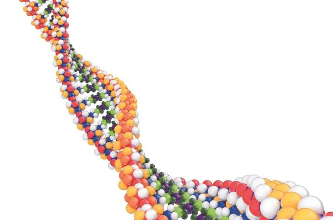 Oncología de precisión gracias al conocimiento del genoma Oncología de precisión gracias al conocimiento del genoma