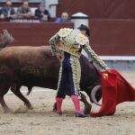 Profundo derechazo de Diego Urdiales al primer toro de El Pilar.