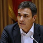 El secretario general del PSOE, Pedro Sánchez