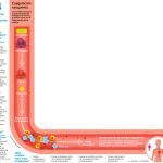 Control domiciliario en la anticoagulación infantil