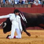 Roca Rey se pasa un toro por la espalda de rodillas / EFE