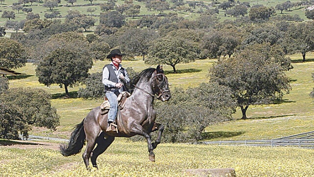 El torero en su finca Yerbabuena