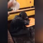 Captura del momento en el que el trabajador vierte el contenido de una jarra sobre el indigente, que está de espaldas y se lleva un terrible susto / YouTube
