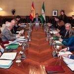El Consejo de Gobierno celebró ayer su tercera reunión semanal con la incorporación del nuevo responsable de Hacienda, Juan Bravo, y la aprobación del Decreto de estructura y los nombramientos de directores generales y delegados territoriales / Foto: Manuel Olmedo
