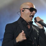 Pitbull