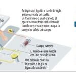 Chávez, un líder embalsamado. Así es el proceso