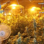 Plantas de marihunaa en el interior del chalet