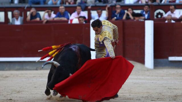 El novillero Fernando Flores dando un natural en Las Ventas / Plaza 1