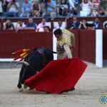 El novillero Fernando Flores dando un natural en Las Ventas / Plaza 1