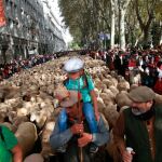 Las ovejas a su paso por Madrid/Foto: C. Pastrano