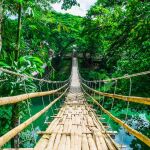 Naciones Unidas ya nombró al 2017 como el “Año Internacional del Turismo Sostenible” | Archivo