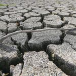 Estamos en mitad del tercer año hidrológico seco. La sequía se agrava y las previsiones hablan de un invierno anticiclónico con escasas lluvias