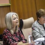 La consejera Patricia del Pozo, con la presidenta de la Comisión parlamentaria, Ana Gil, al fondo / Foto: EP