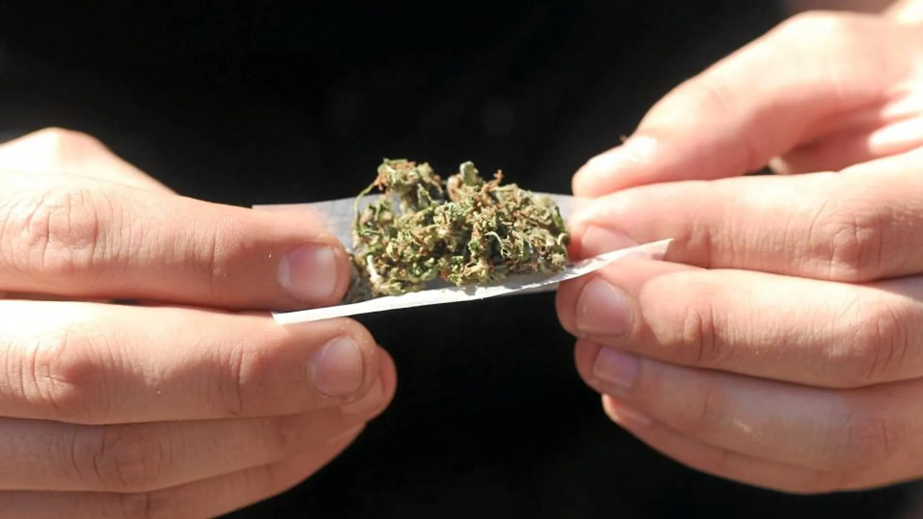 Cataluña quiere legalizar el autoconsumo de cannabis