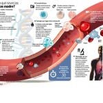 El mito curativo del cordón umbilical