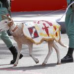 En cada parada militar, los diferentes Tercios y Banderas de la Legión se turnan. En la imagen, el desfile de 2014, en el que participó la VII Bandera «Valenzuela»