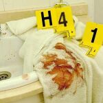 Una de las pruebas del doble crimen de Almonte, en Huelva