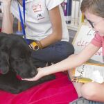 Antes de acercarnos a un perro que no nos conoce, tenemos que presentarnos adecuadamente. Y en el mundo canino, eso se hace con el olfato