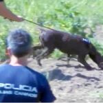 Agentes de la Policía rastrean la finca donde un vecino creyó ver tierra removida