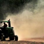 Impacto del sector agroalimentario en la economía española