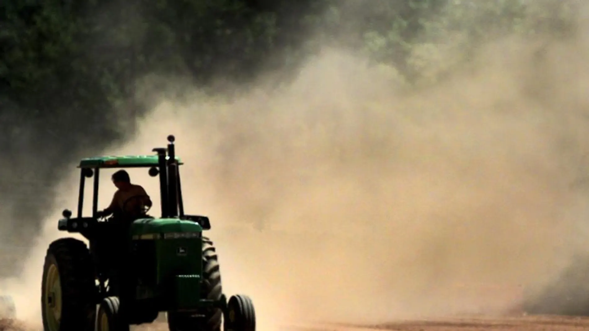 Impacto del sector agroalimentario en la economía española