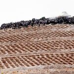 Las tumbas habilitadas para las víctimas del atentado, rodeadas de familiares y amigos, ayer en Gaziantep