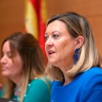 La consejera Pilar del Olmo comparece en las Cortes a petición propia