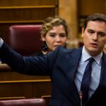 El líder de Ciudadanos, Albert Rivera, durante su intervención en el Congreso